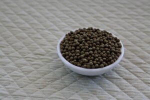 パターが苦手な人必見の克服練習法とは？