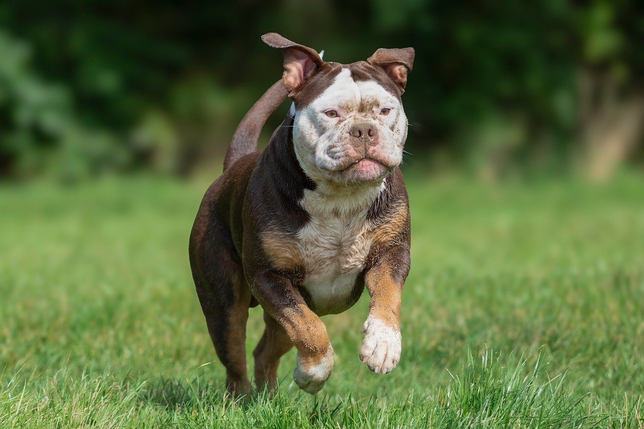 ドライバーのヘッドスピードを上げるための効果的な練習方法は？