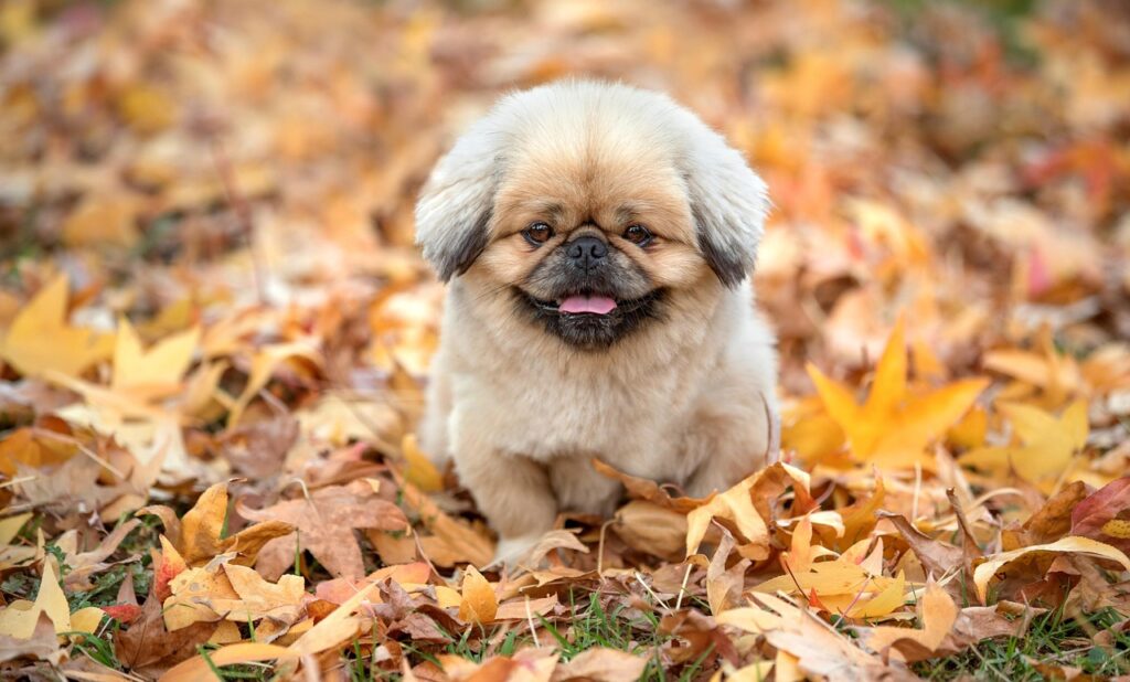 ピッチエンドランの打ち方に必要なコツは？